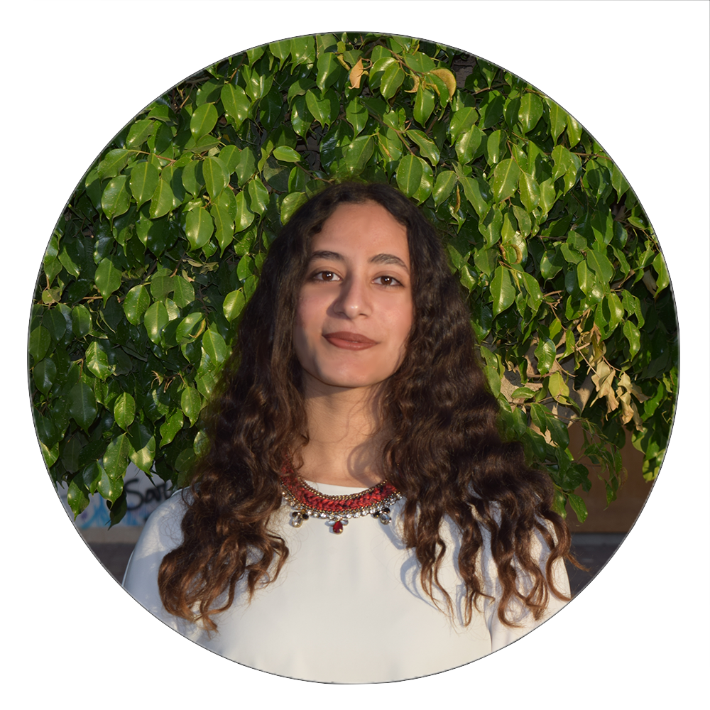 Farha Mostafa